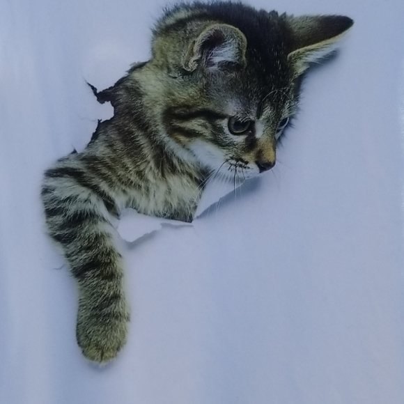Adorable Cat Tshirt - Picture 2 of 4